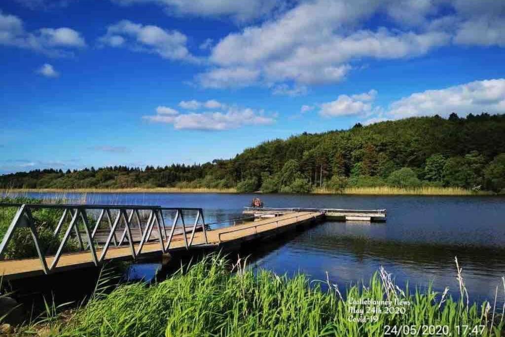 Вілла Glenmount Каслблейні Екстер'єр фото